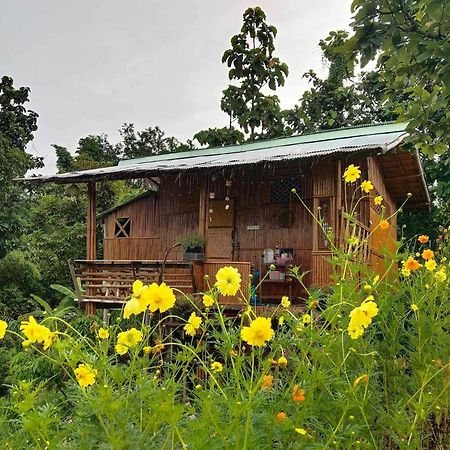 Baan 2 Dao Farmstay Chiang Dao Buitenkant foto