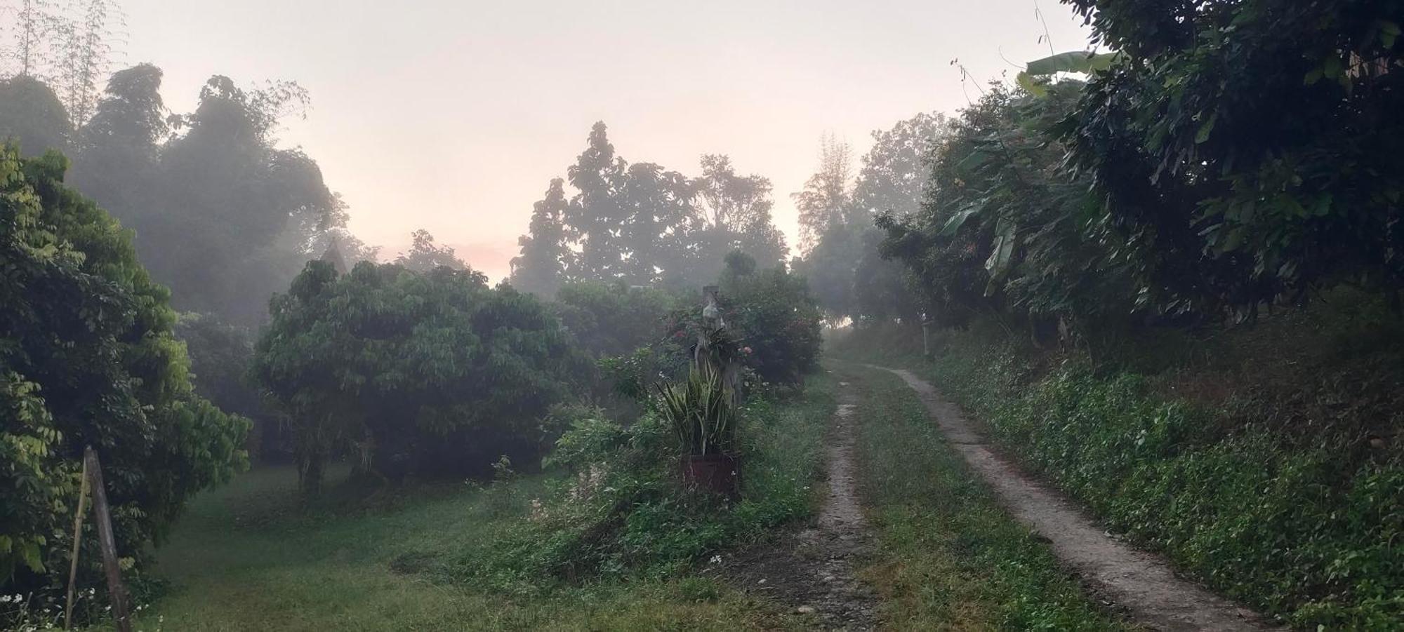 Baan 2 Dao Farmstay Chiang Dao Buitenkant foto