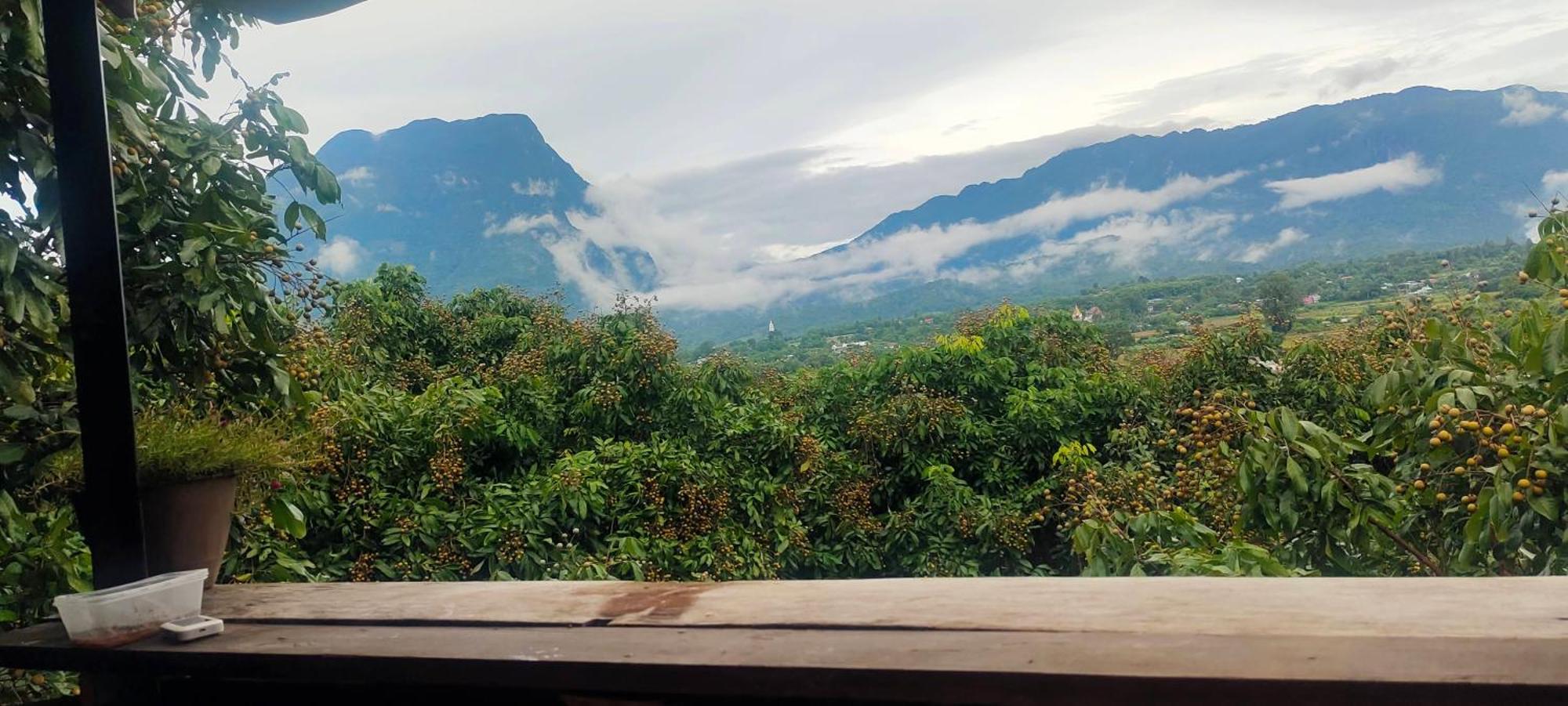 Baan 2 Dao Farmstay Chiang Dao Buitenkant foto