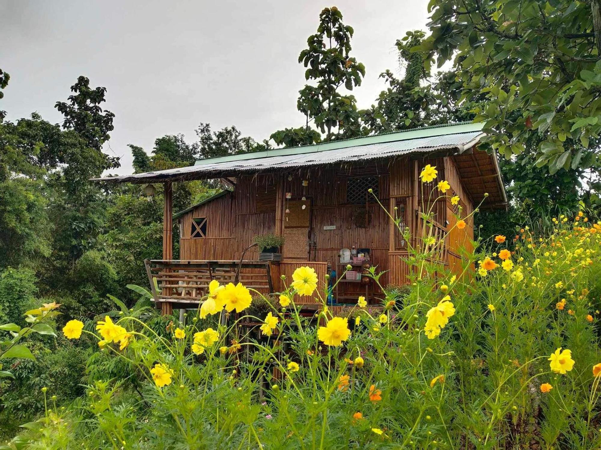 Baan 2 Dao Farmstay Chiang Dao Buitenkant foto